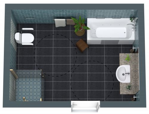 Accessible Bathroom Idea