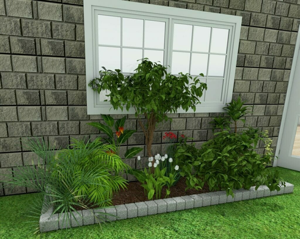 Small garden with plants